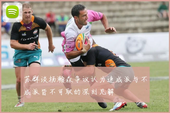 苏群谈杨瀚森争议认为速成派与不成派皆不可取的深刻见解