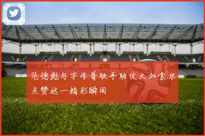 范德彪与字母哥联手助攻大加索尔点赞这一精彩瞬间