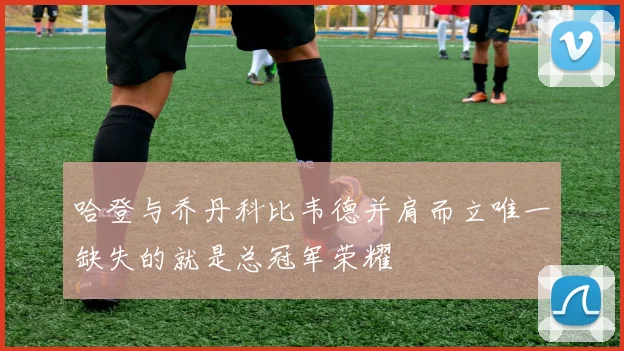哈登与乔丹科比韦德并肩而立唯一缺失的就是总冠军荣耀
