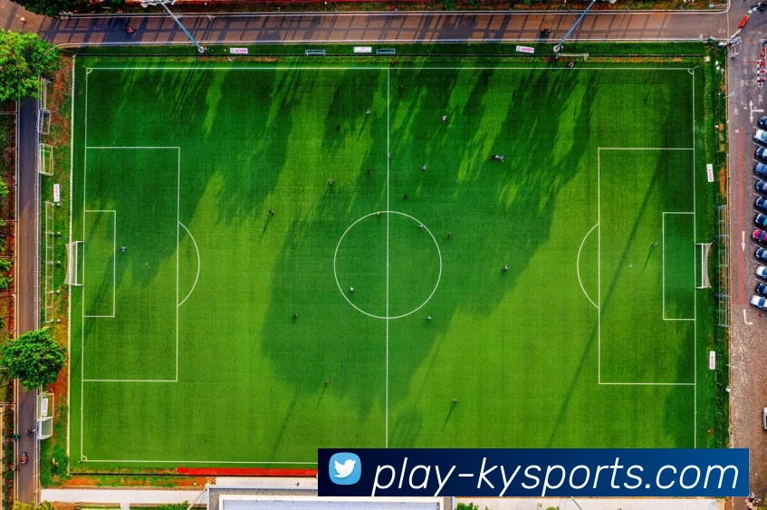 开云足球APP 体育赛事宣传图