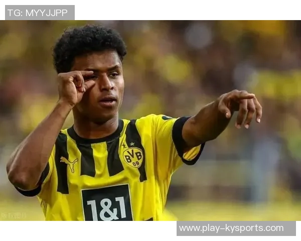 阿德耶米因非法持有武器被罚款45万欧元引发广泛关注