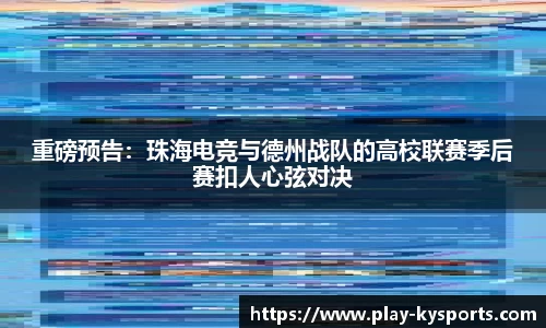 开云体育官网