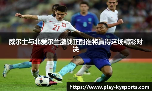 威尔士与北爱尔兰激战正酣谁将赢得这场精彩对决